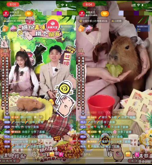 吃瓜大王抖音,揭秘娱乐圈幕后故事,带你领略明星真实生活