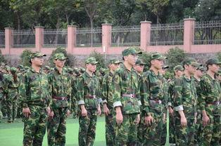 军训吃瓜真香现场,一场别开生面的“吃瓜”盛宴