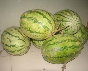 洛米吃瓜,揭秘娱乐圈背后的那些事儿