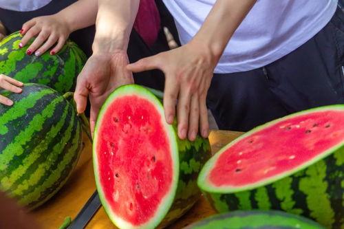 吃瓜大学吃瓜,揭秘校园里的“瓜田”趣事