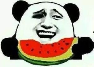 凉凉吃瓜群众直播,凉凉吃瓜群众带你领略网络直播魅力