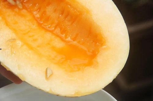 吃瓜速度网图,网图背后的惊人真相