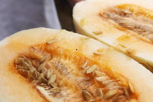 吃瓜速度网图,网图背后的惊人真相