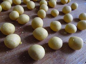 开心吃瓜酒酿小汤圆