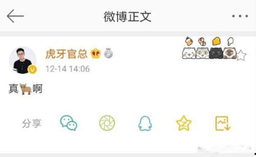 吃瓜盟主道歉直播回放,真诚反思与未来承诺