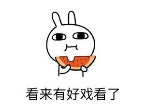 吃瓜男子被污蔑,真相揭露正义归来