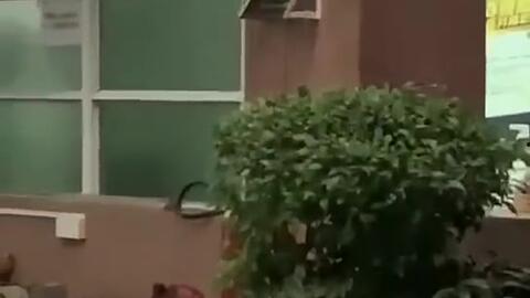 焦作最近吃瓜新闻,揭秘本地热点事件背后的真相