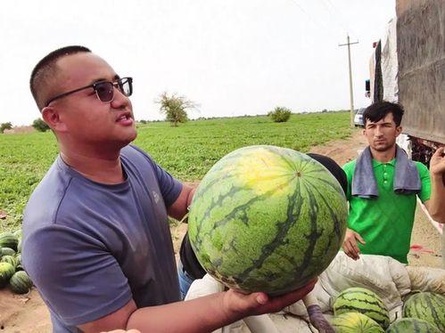 乌鲁木齐吃瓜神器,解锁吃瓜神器,畅享西域风味