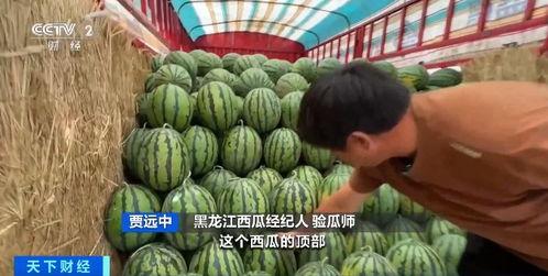 叠石桥吃瓜,品味传统与创新的完美融合