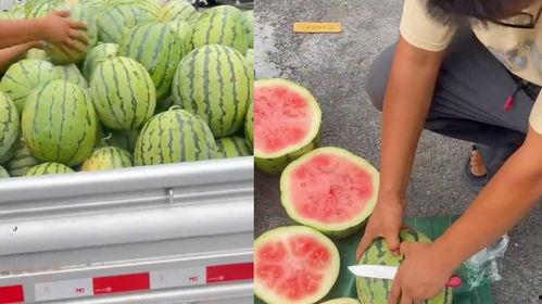 吃不熟瓜,探寻“吃不熟瓜”的奥秘与挑战