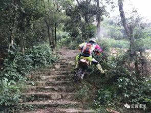 将军山吃瓜视频,揭秘网红美食背后的故事