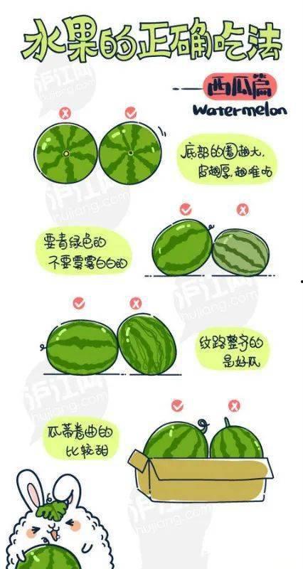 吃瓜逐帧分析