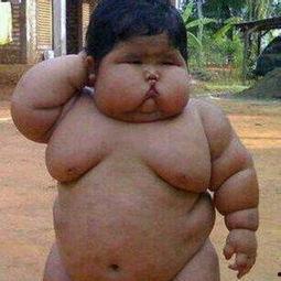 隔壁吃瓜小胖墩