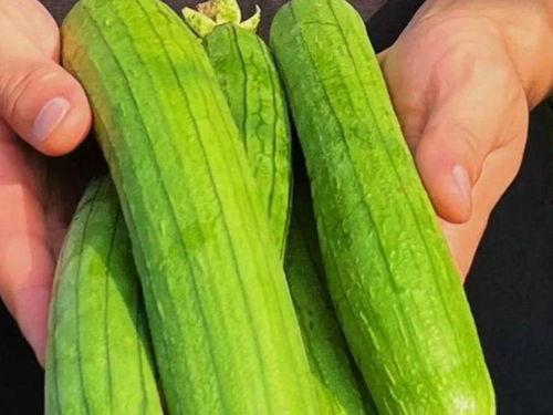 大连话吃瓜络,大连话版“吃瓜群众”的趣味解读