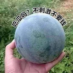 高冷吃瓜头像,揭秘娱乐圈背后的秘密